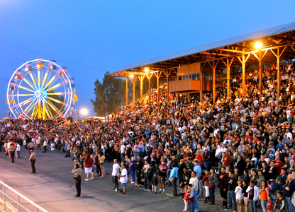 county_fair