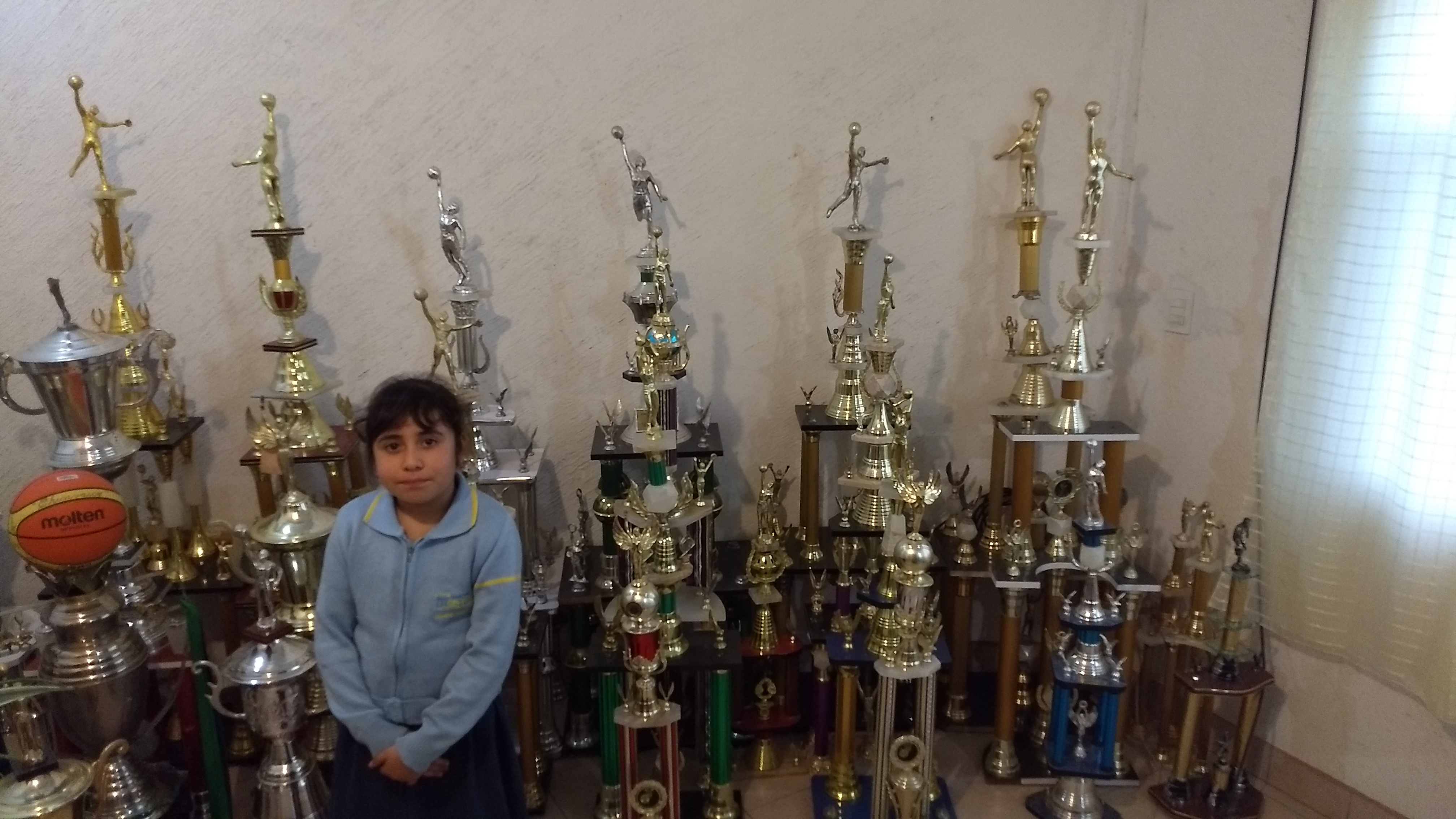 Image of trophies